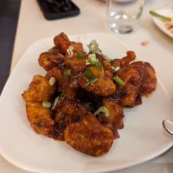Gobi manchurian