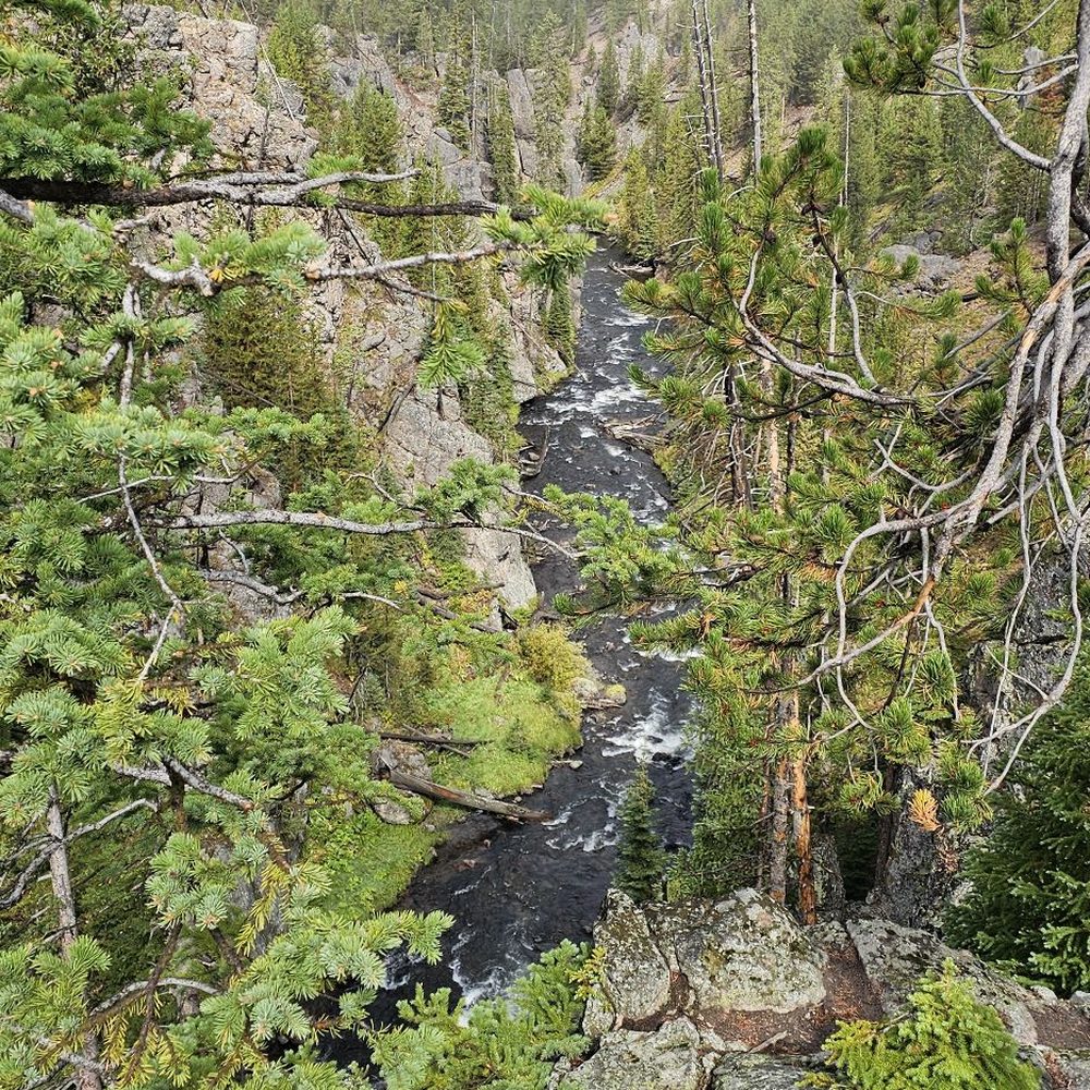 Yellowstone Vacation Tours - Tours Near Me - West Yellowstone, Montana Yellowstone Vacation Tours - Tours Near Me - West Yellowstone, Montana
