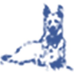 Best Buddy Dog Training