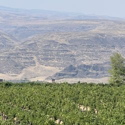 Cave B Estate Winery - The views they have are incredible