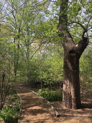 Hallett Nature Sanctuary by null