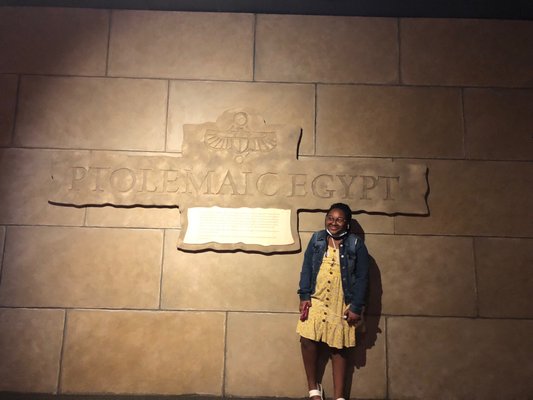 Louisiana Art & Science Museum by null