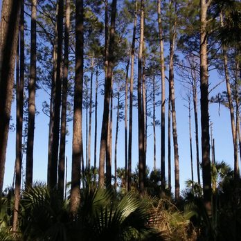 Dutton Island Preserve - Parks Near Me - Jacksonville, Florida Dutton Island Preserve - Parks Near Me - Jacksonville, Florida