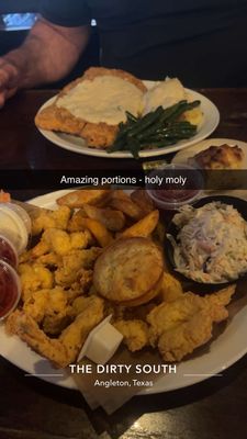 The Dirty South by null