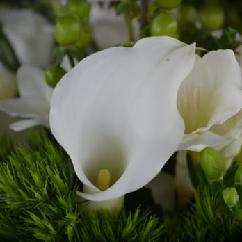 Uptown Daniela's Flower Shop - All white and Green Center Piece - Florists Near Me - New York, New York Uptown Daniela's Flower Shop - All white and Green Center Piece - Florists Near Me - New York, New York