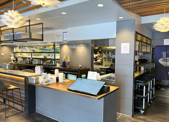 Dragonfly Noodle by null