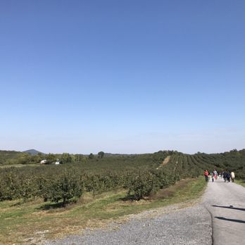Marker-Miller Orchards - Bakeries Near Me - Winchester, Virginia