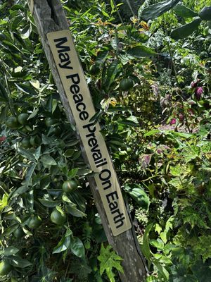 Vallarta Botanical Gardens AC by null