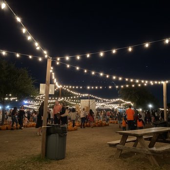 Hall's Pumpkin Farm - Pumpkin Patches Near Me - Grapevine, Texas