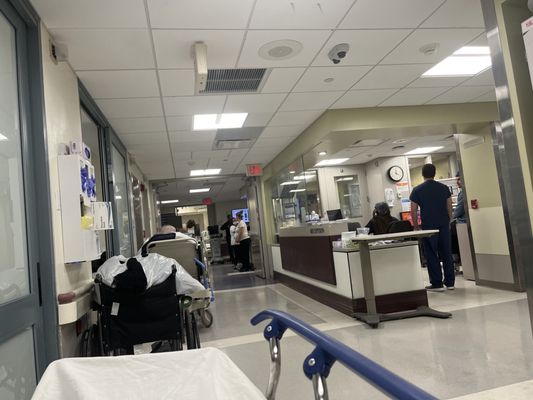 North Shore University Hospital by null