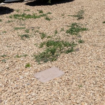 FirstService Residential Arville - Weeds growing between rocks - Property Management Near Me - Las Vegas, Nevada