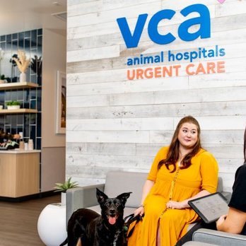 Dog Vca Lafayette Animal Hospital VCA ANIMAL HOSPITALS URGENT CARE COLLEGE PARK Updated August 2026 22  Photos 9235 Michigan Rd, Indianapolis, Indiana Veterinarians Phone  Number Yelp