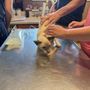 Photo of Island Veterinary Center