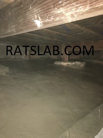 Slide of RatSlab Crawl Space Encapsulation & Waterproofing Services
