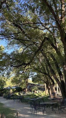 Bike In Coffee by null