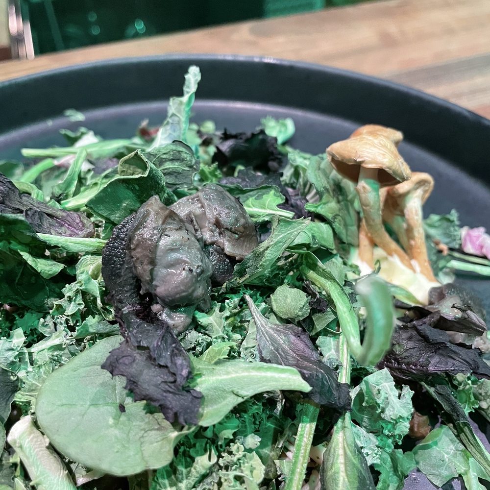 Eculent - Dedicated mushroom salad - New American Near Me - Kemah, Texas