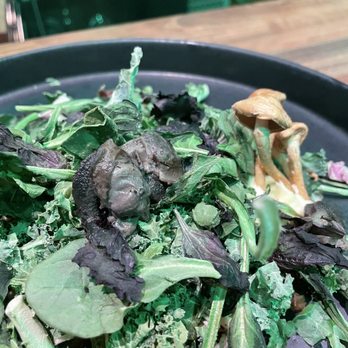 Eculent - Dedicated mushroom salad - New American Near Me - Kemah, Texas Eculent - Dedicated mushroom salad - New American Near Me - Kemah, Texas