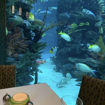 Chart House - Aquarium in the restaurant - Seafood Near Me - Las Vegas, Nevada Chart House - Aquarium in the restaurant - Seafood Near Me - Las Vegas, Nevada
