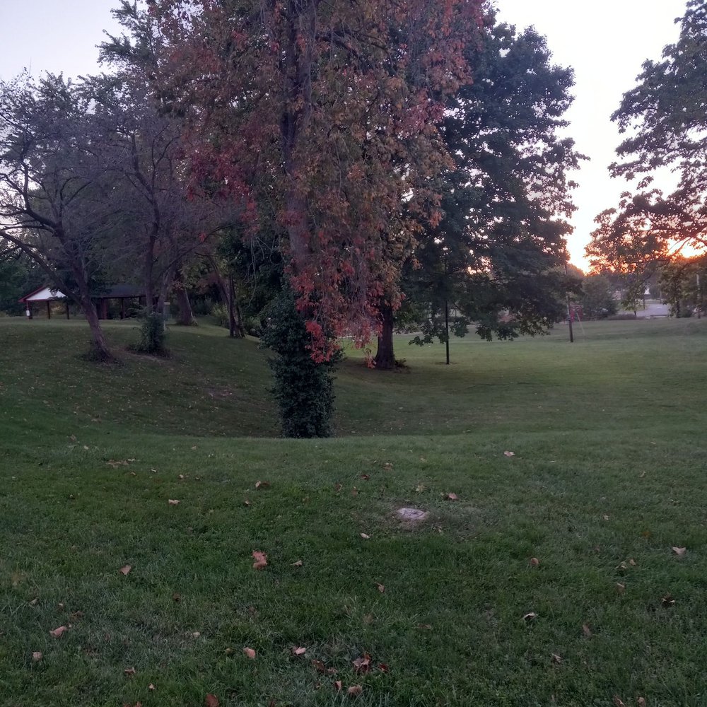 Beautiful park field. Beautiful park field.