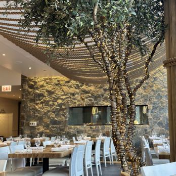 Avli on The Park - Inside - Greek Near Me - Chicago, Illinois
