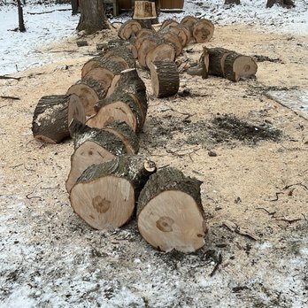 Running Wood Tree Service - Tree Services Near Me Running Wood Tree Service - Tree Services Near Me