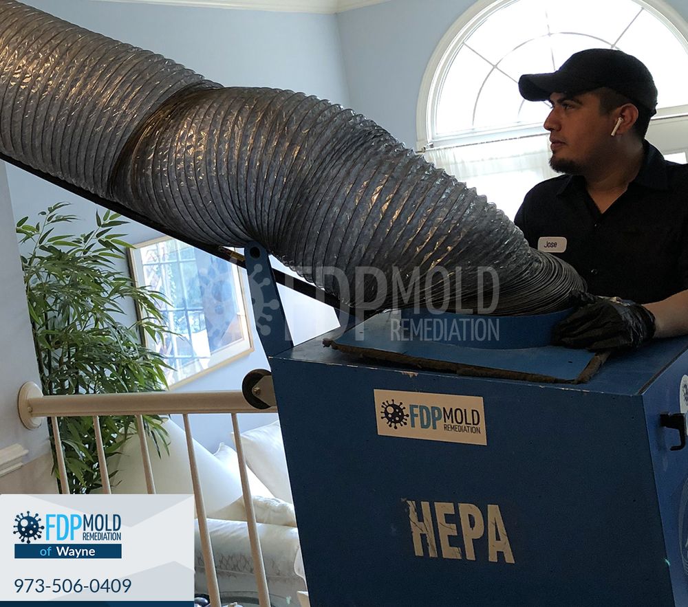 FDP Mold Remediation - mold inspector in Wayne, NJ