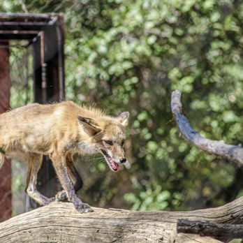 Turtle Bay Exploration Park - Museums Near Me - Redding, California