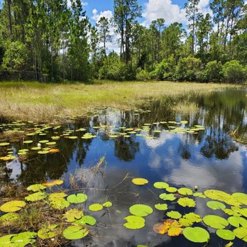 Festival Park - Parks Near Me - Deltona, Florida Festival Park - Parks Near Me - Deltona, Florida