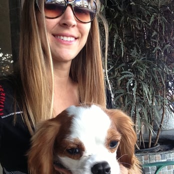 Walks over Wilshire - Dog Walkers Near Me Walks over Wilshire - Dog Walkers Near Me