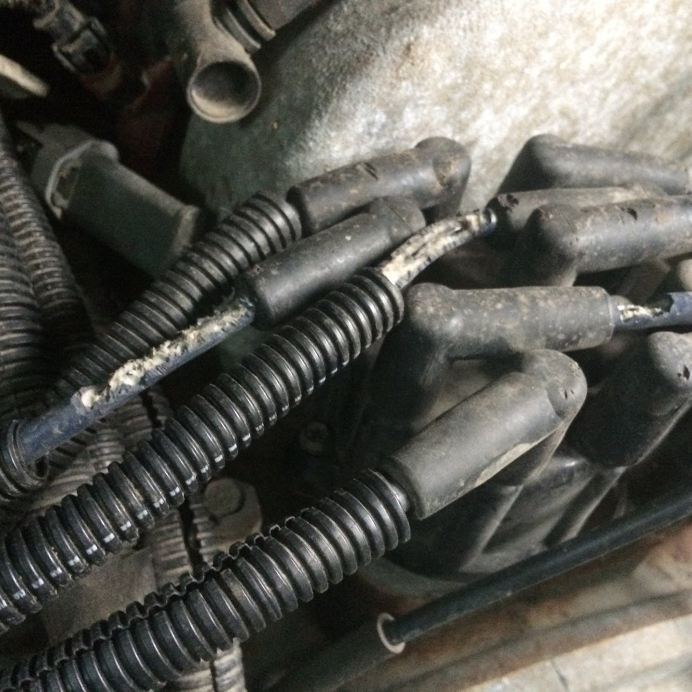Newport Auto - Rodent-chewed spark plug wires missed by Newport Auto in a pre-purchase inspection. How do you miss this? - Auto Repair Near Me - Squamish, British Columbia Newport Auto - Rodent-chewed spark plug wires missed by Newport Auto in a pre-purchase inspection. How do you miss this? - Auto Repair Near Me - Squamish, British Columbia