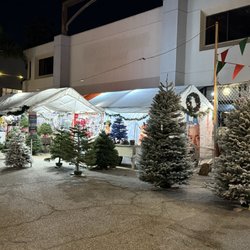 Lopez Ranch Pumpkin Patch & Christmas Trees