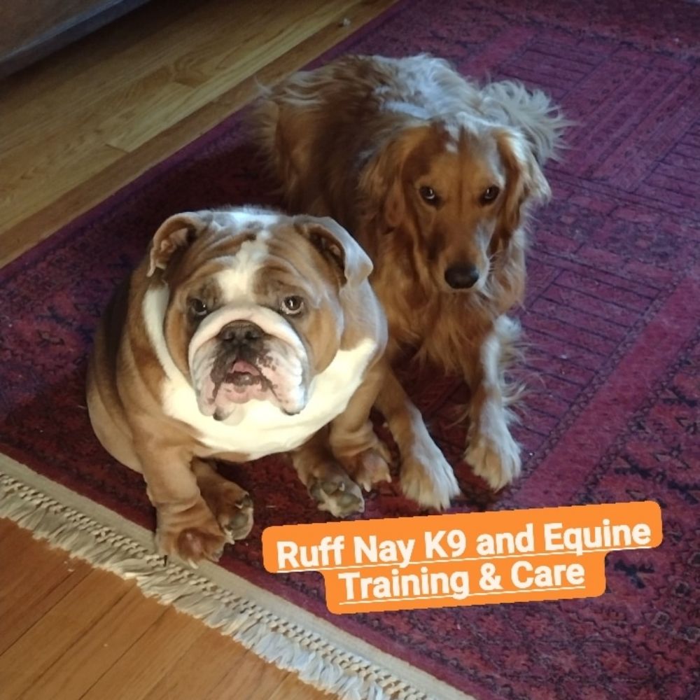 RUFF NAY Request a Quote 10 Photos Cleveland, Ohio Dog Walkers