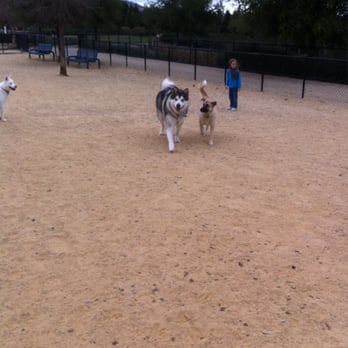 San Ramon Memorial Park - Dog park - Parks Near Me - San Ramon, California