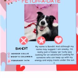 Woof's Play & Stay - They sent this on Valentine's Day