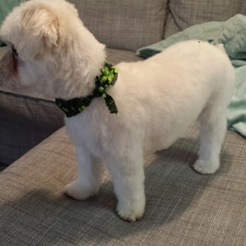 paws in the park pet supply