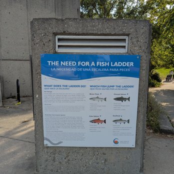 Fish Ladder Park - Sign - Parks Near Me - Grand Rapids, Michigan Fish Ladder Park - Sign - Parks Near Me - Grand Rapids, Michigan