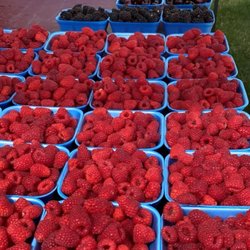 VK Fruit Farm - Raspberries, blackberries, cherries, blueberries
