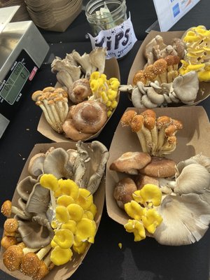 Montavilla Farmers Market by null