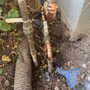 MG Plumbing & Rooter