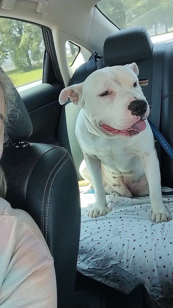 POSSUM TROT VETERINARY CLINIC Updated September 2024 10 Addington