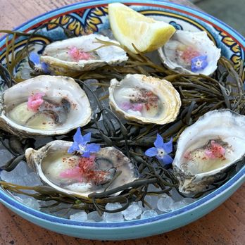 Crudo e Nudo - 1/2 order of Oysters - Seafood Near Me - Santa Monica, California
