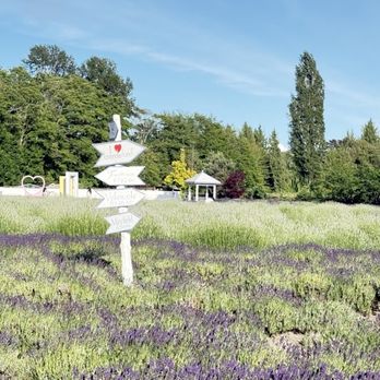 Lavenderland - Botanical Gardens Near Me - Richmond, British Columbia Lavenderland - Botanical Gardens Near Me - Richmond, British Columbia