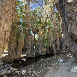 Big Wheel Tours - Palm Springs