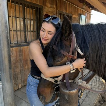 Ponderosa Stables - Duke the horse - Horseback Riding Near Me - Phoenix, Arizona