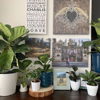 Evergreen Nursery - Nurseries & Gardening Near Me - Garden Grove, California