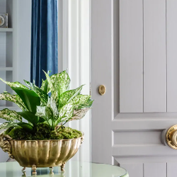 Bird Decorative Hardware & Bath