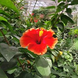Vibrant Transformations - Bursting with energy
