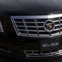 Photo of EcoStyle Chauffeured Transportation