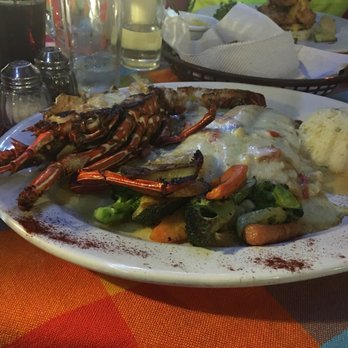 Gaby's - Lobster enchiladas - Mexican Near Me - Puerto Vallarta, JAL Gaby's - Lobster enchiladas - Mexican Near Me - Puerto Vallarta, JAL