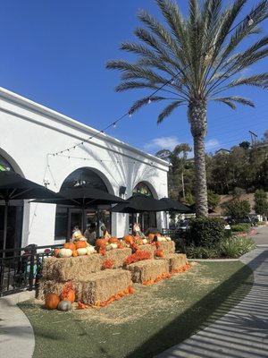 The Beacon La Costa by null